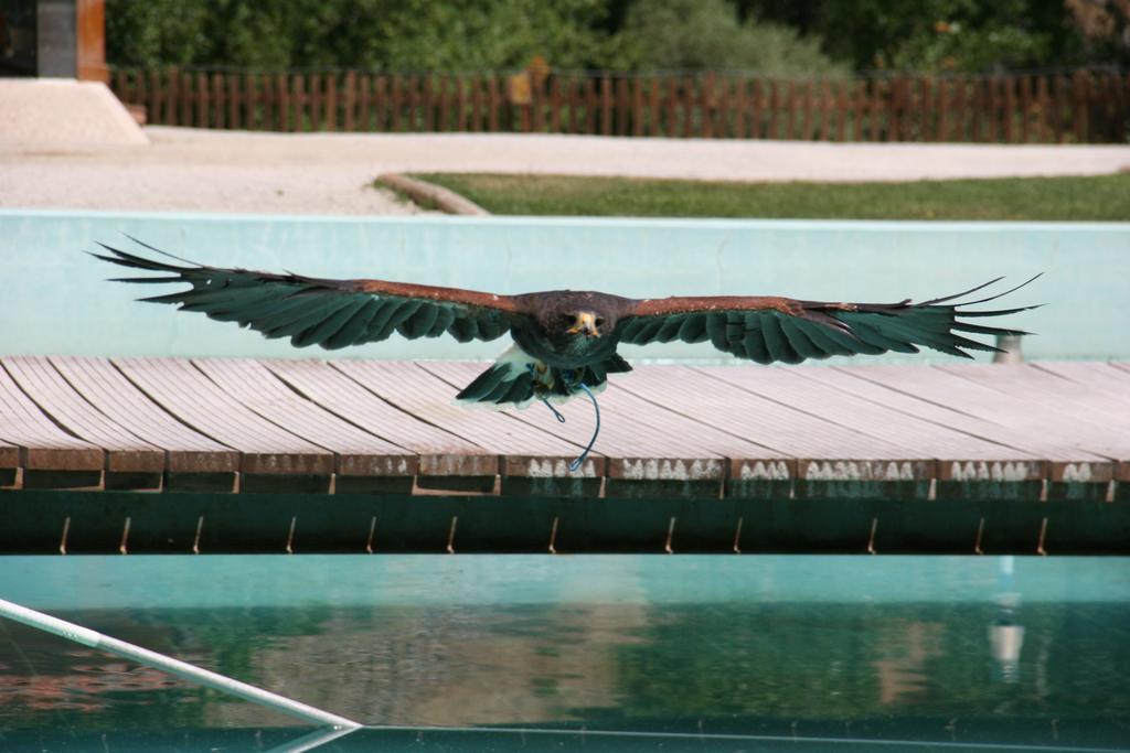 Pensjonat Quinta De La Barandica Miranda do Douro Zewnętrze zdjęcie